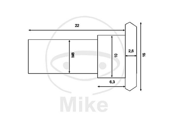 TRW Schraube Schraubensatz für Bremssche M8 x 1,25, Schaftlänge 21,60 mm, Gesamtlänge 24,40 mm