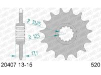 ESJOT Antriebsritzel "32165" 520, Stahl 15...