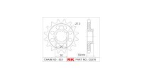 RK Antriebsritzel "5376-2Q" 525, Stahl,  15...