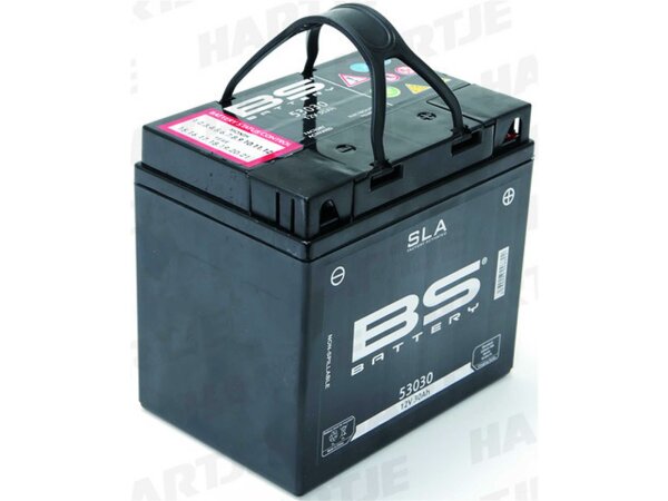 Batterie "53030" ETN: 530 030 030 BS-Battery, SL