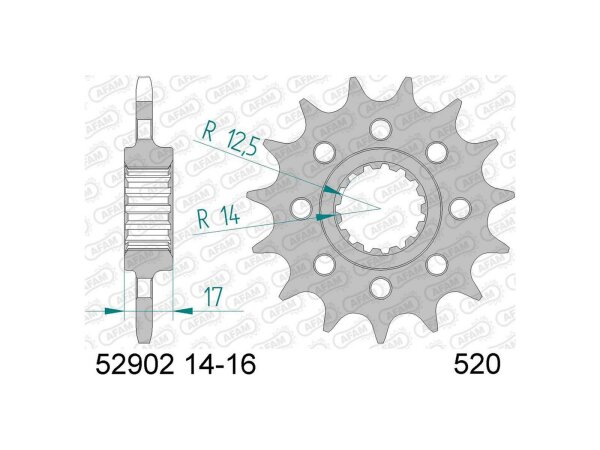 AFAM Antriebsritzel "52902" 520 Stahl 15 Zähne