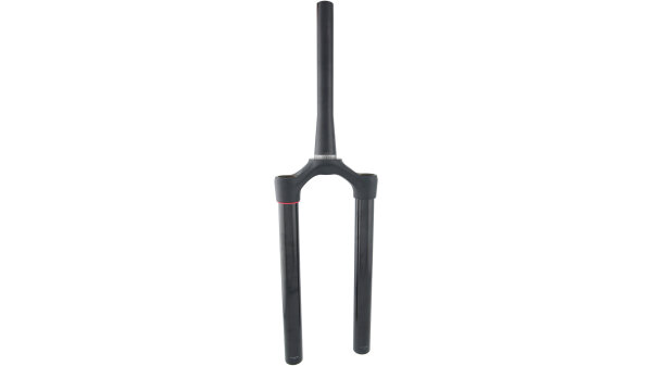 ROCKSHOX "Lyrik RCT3 / RC / RC2" A1-C2 ( Krone / Schaft (Einheit) 29", tapered, matt-schwarz