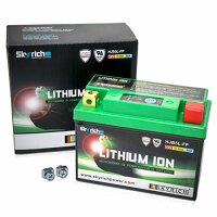 SKYRICH LiFePO4 Batterie Ersetzt folgende Blei-Säu...