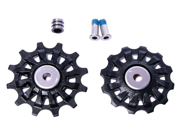 CAMPAGNOLO Schaltrollen-Set SB-verpackt, à  Record, 12-fac