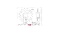 RK Antriebsritzel "C4491" 520, Stahl 15 Zähne