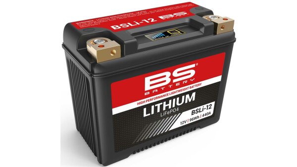 BS-BATTERY LiFePO4 Batterie "BSLI-12" Er wartungsfrei