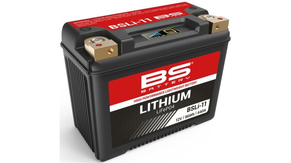 BS-BATTERY LiFePO4 Batterie "BSLI-11" Ersetzt folg wartungsfrei