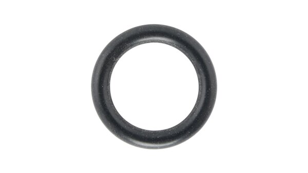 O-Ring  17 x 13