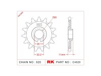 RK Antriebsritzel "4520-7Q" 520, Stahl,  13...