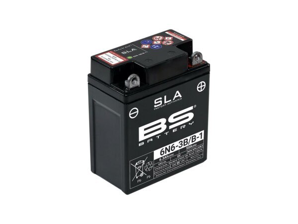 Batterie "6N6-3B-1" ETN: 006 012 003 BS-Battery, SL