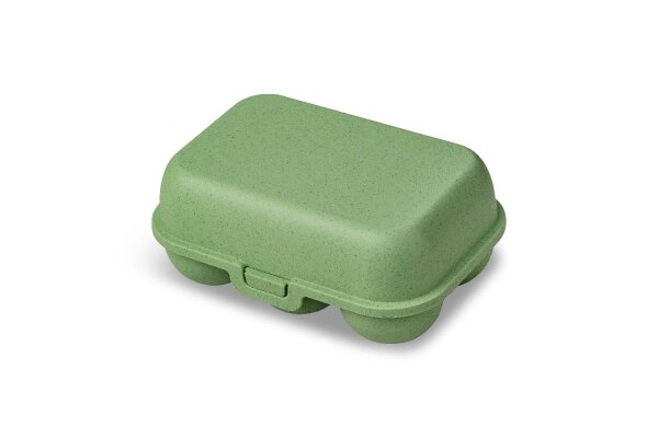 KOZIOL Eierbox Eggs to go mini nature leaf green