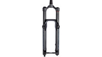 ROCKSHOX Federgabel „Domain RC&ldq schwarz, 160 mm Federweg