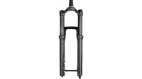 ROCKSHOX Federgabel „Domain RC&ldq schwarz, 160 mm Federweg