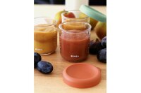 BEABA Portionsbehälter aus Glas 250ml sunrise color mix 6er Set