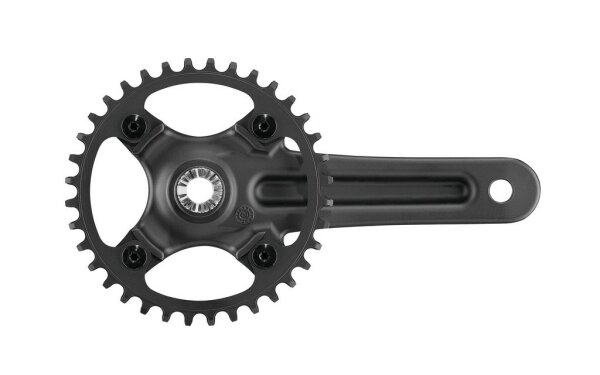 CAMPAGNOLO Kettenradgarnitur "Ekar GT 13 36 Zähne, 170 mm Kurbellänge