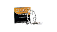 GALFER Oversize-Kit "KG082" Umbaukit auf 270 mm Br Typ RWS2 - sta