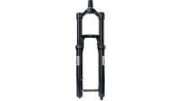 ROCKSHOX Federgabel Domain Gold Isolator schwarz 170 mm Federweg