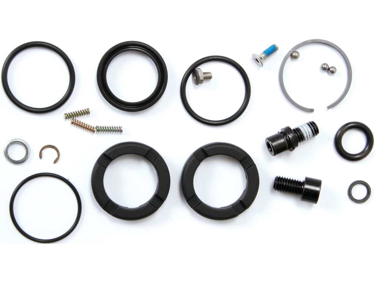 Rockshox domain best sale 302 coil